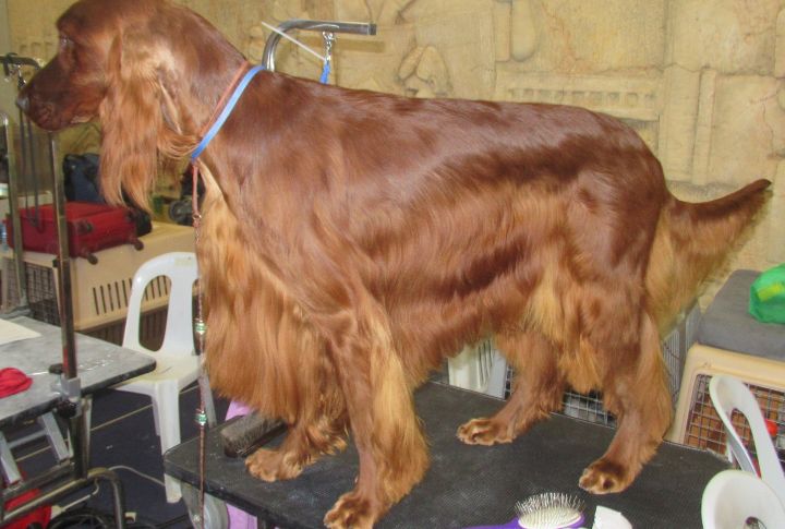 Grooming Isn’t Optional