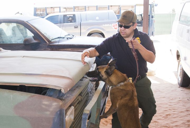 Specialized Training For Airport Safety