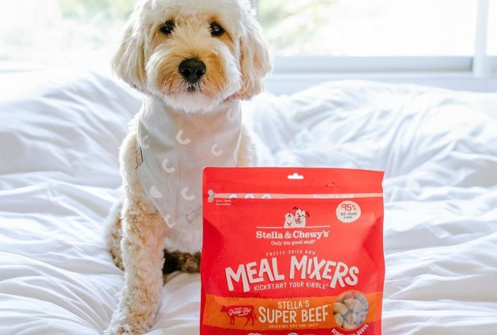 Stella & Chewy’s Meal Mixers