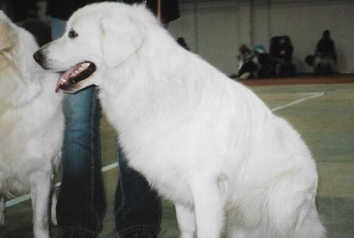 Striking All-White Coat