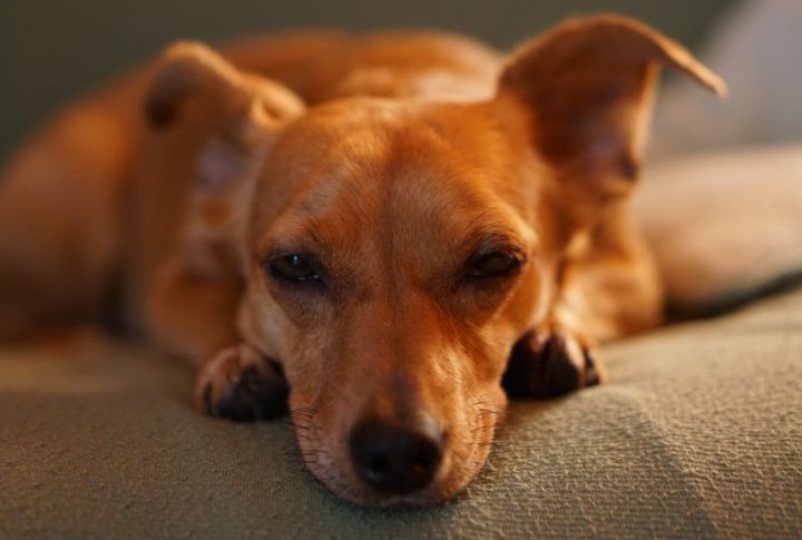 Unusual Fatigue Or Low Energy