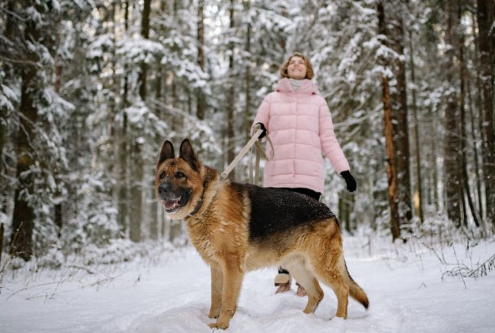 Dogs Stay Loyal Without Needing A Reason
