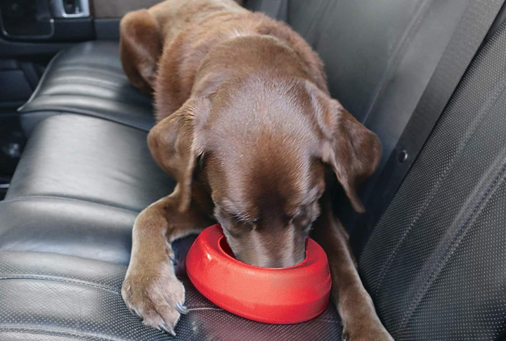 Choose A Drool-Friendly Travel Water Bowl