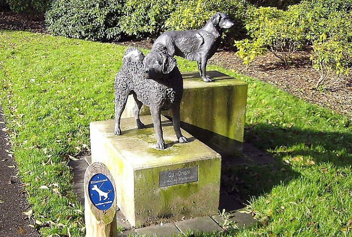 The Breed Was Nearly Lost After WWII