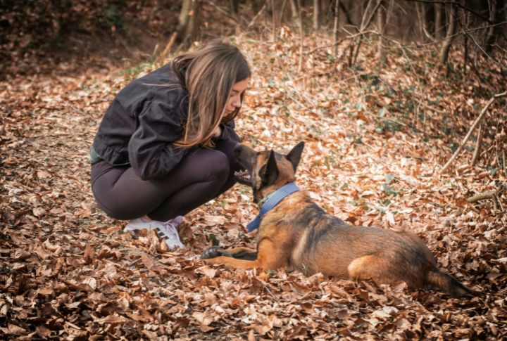 "What Is Your Experience With My Dog's Breed And Temperament?"