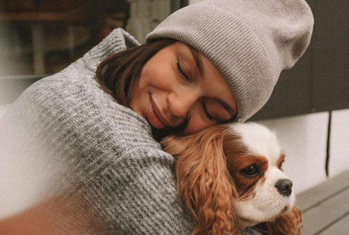 Cavalier King Charles Spaniel