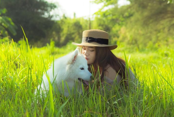 They Form Deep Bonds With Their Humans
