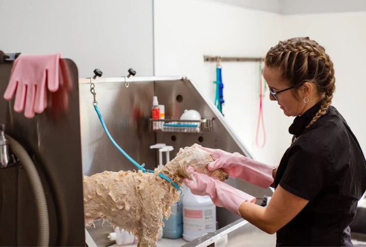 Use Gentle, Calm Handling During Cleaning