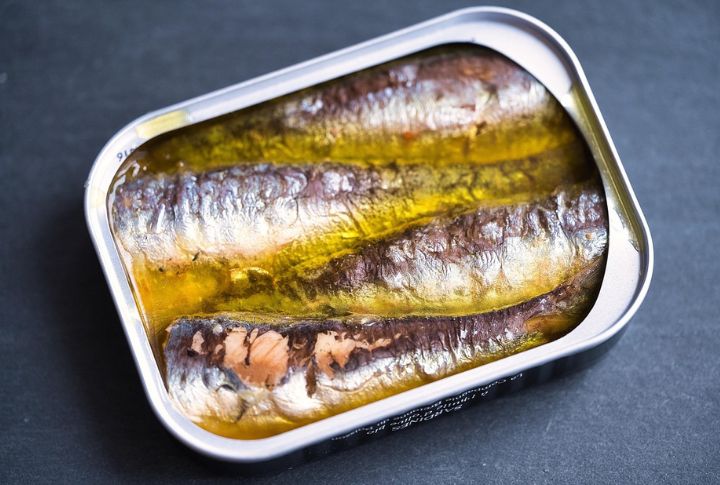 Sardines
