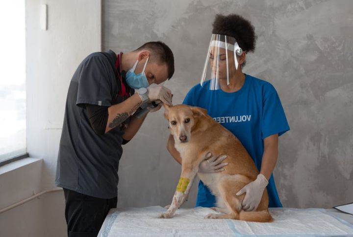 Delayed Wound Healing