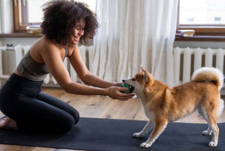 Dogs Pick Up On New Things—And Human Needs Quickly