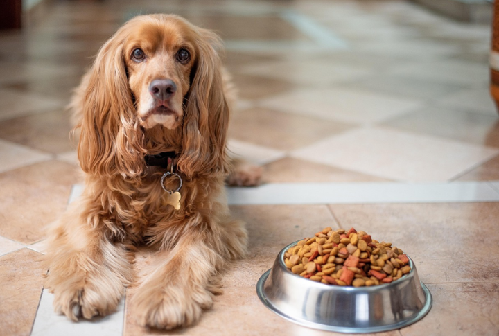 Limit Meals Before Travel To Minimize Saliva