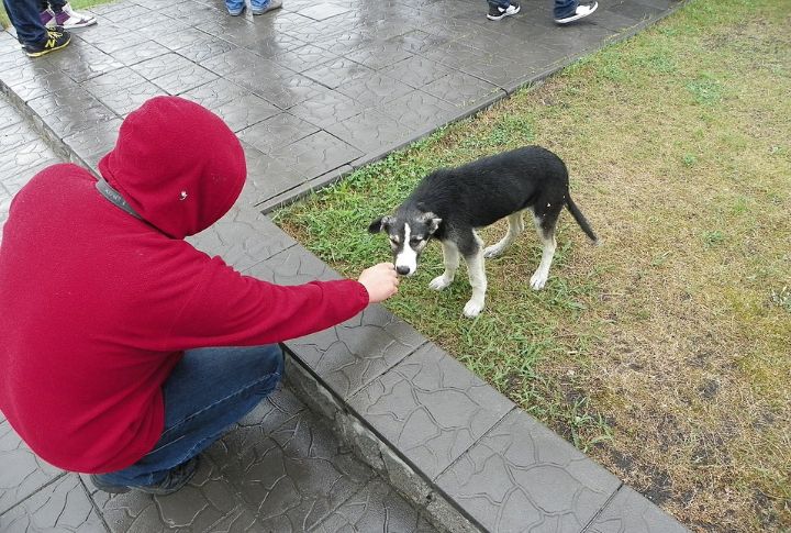 Rely On Human Interaction Despite Isolation