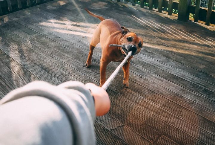 They Play With A Full Heart And Pull Us In
