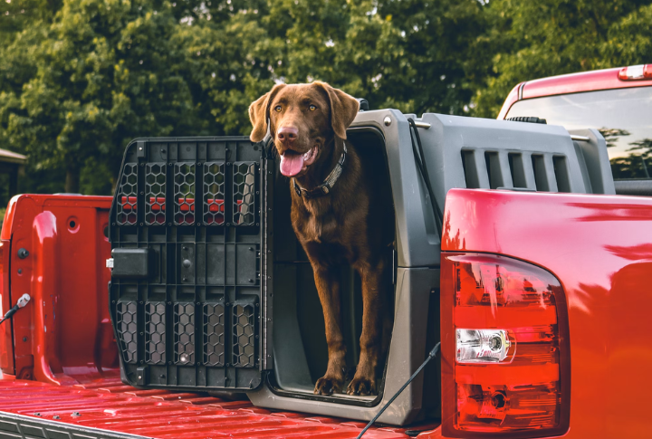 Opt For A Crate With Moisture-Resistant Padding