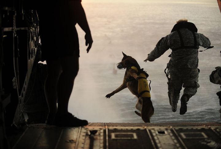 Military Influence