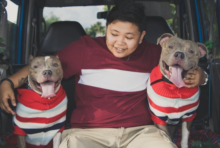 Dogs Know How To Be Gentle With Kids