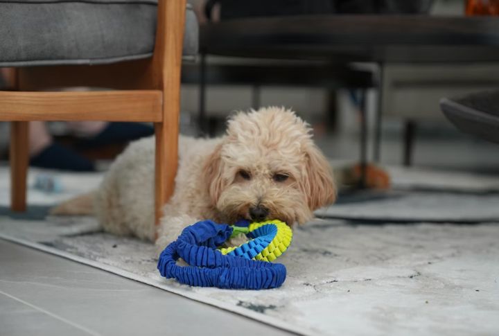 Reinforces Good Behavior During Training