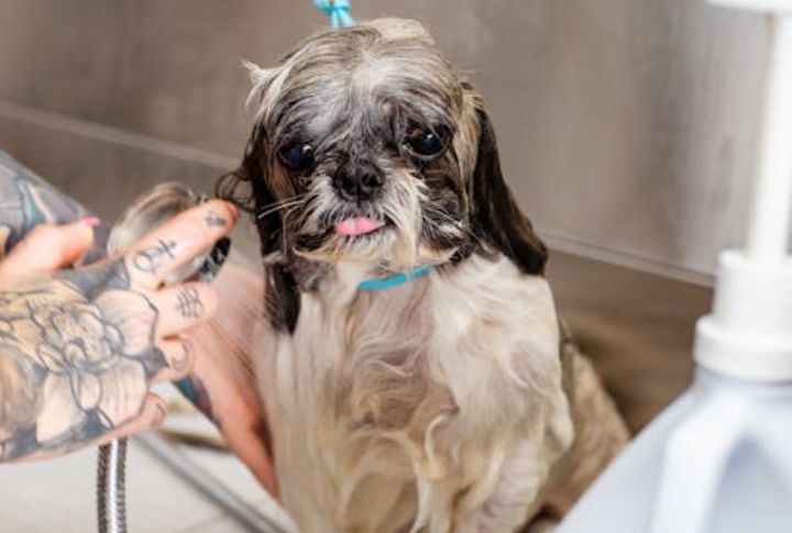 Establish A Regular Ear Cleaning Schedule