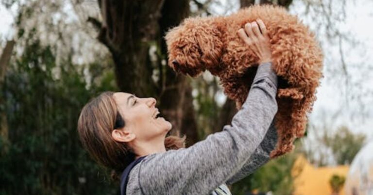 Meet The Dog Breeds That Feel Like Walking Pillows