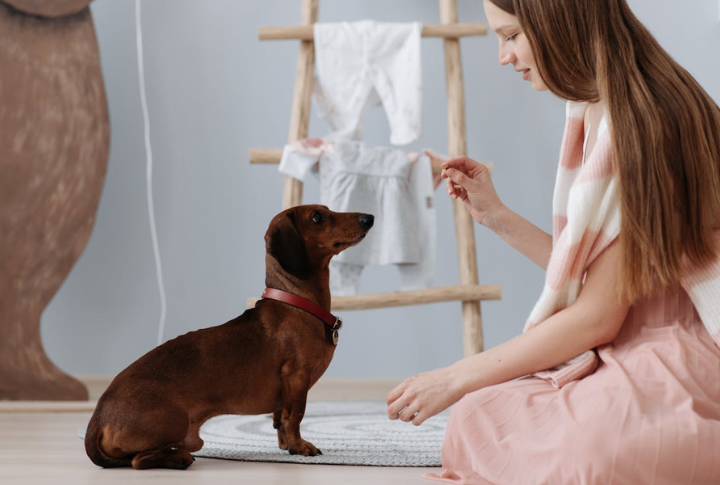 Using Harsh Discipline Instead Of Clear Guidance