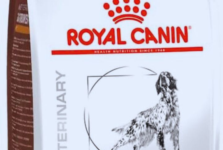 Royal Canin Veterinary Diet Gastrointestinal Low-Fat