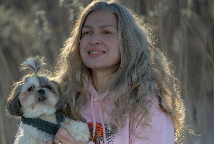 Shih Tzu