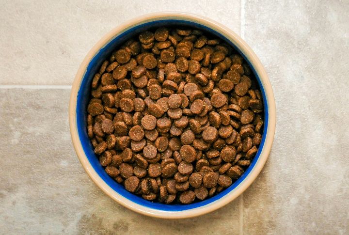 Feed A High-Protein, Balanced Diet