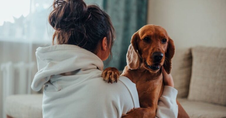 10 Seizure Clues Dog Owners Often Miss