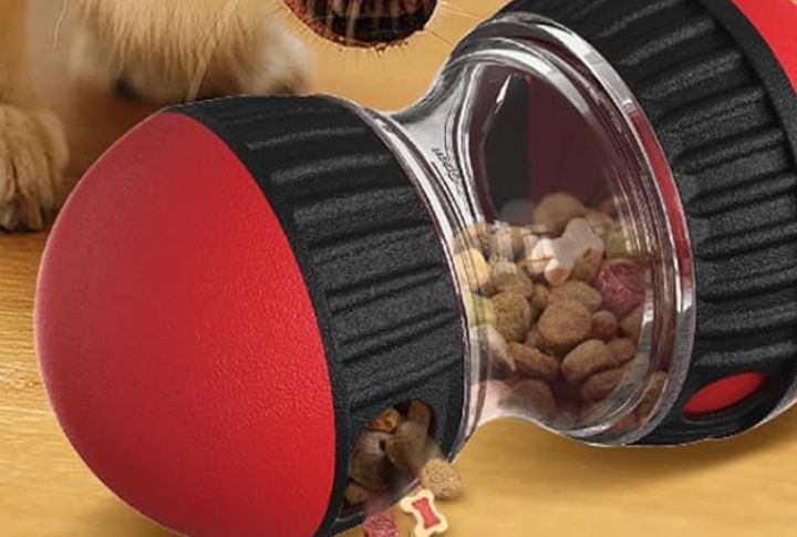Treat-Dispensing Toys