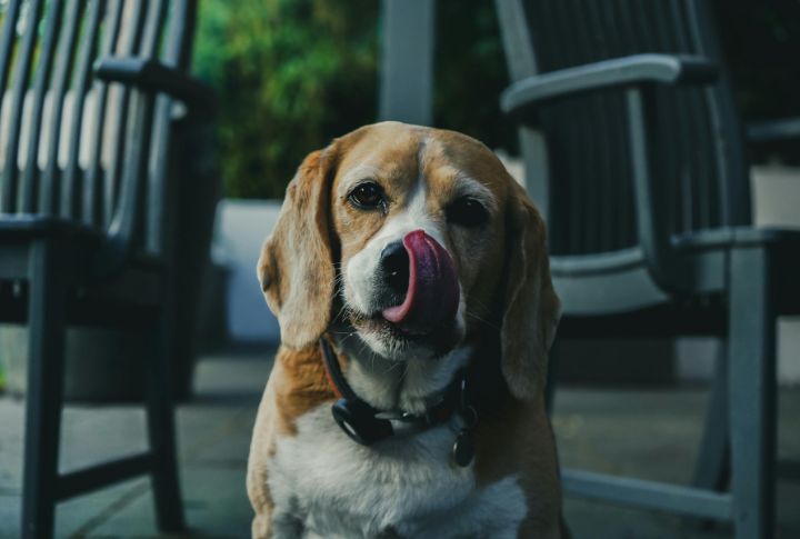 Chewing Motions Or Jaw Chomping