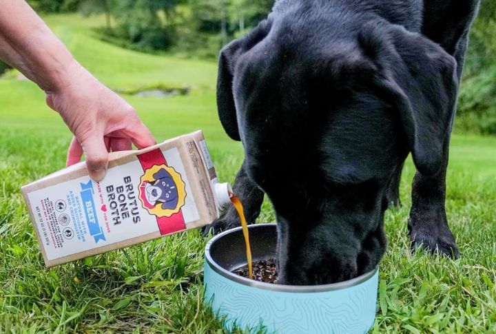 Brutus Bone Broth For Dogs