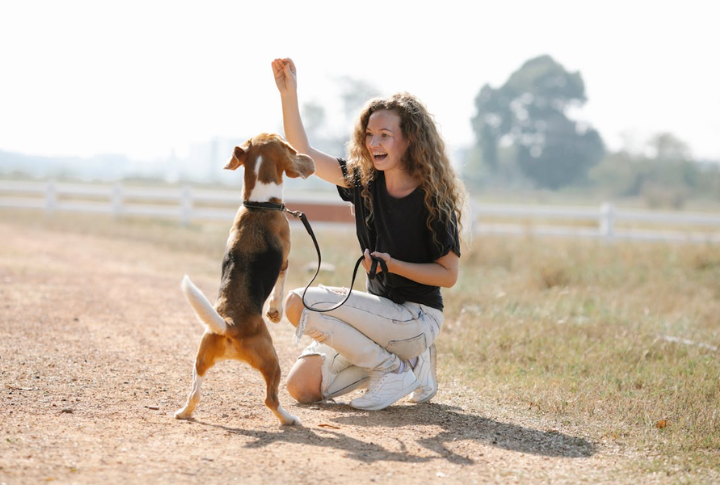 Skipping Puppy Socialization At The Right Time
