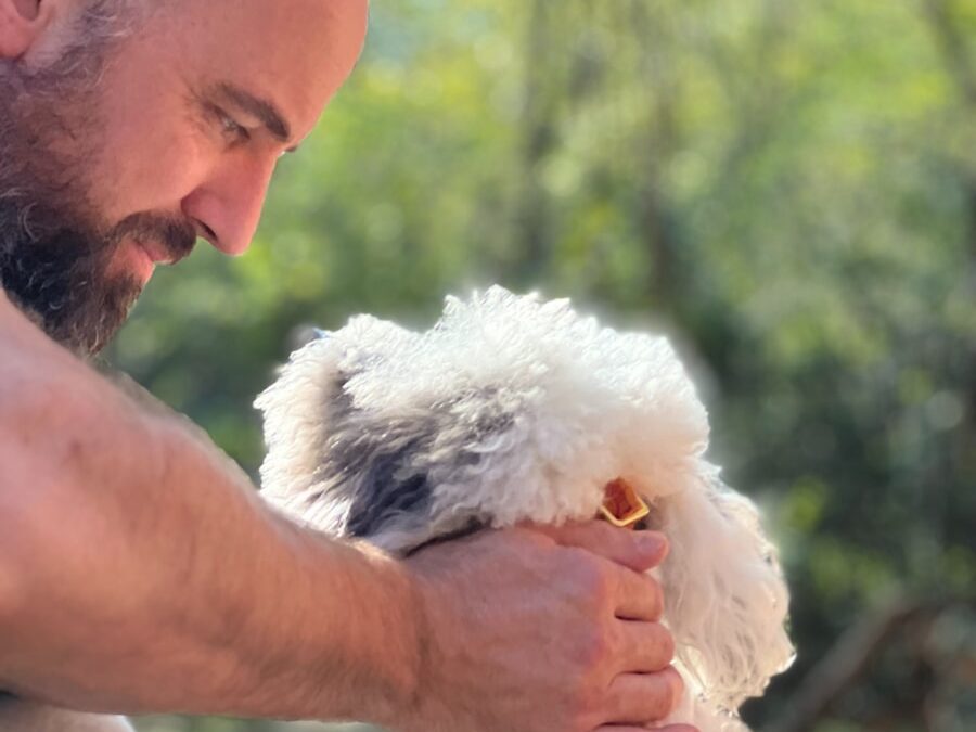 a man is petting a small white dog