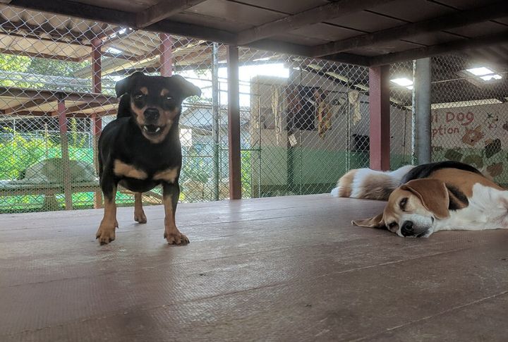 Built A Refuge, Not Just A Shelter