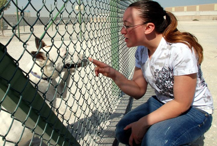 Winning The Rabies Fight