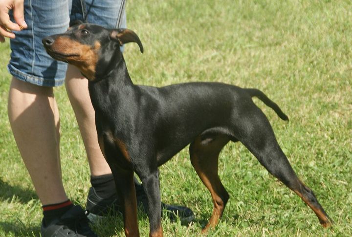 Long-Lived For Its Size
