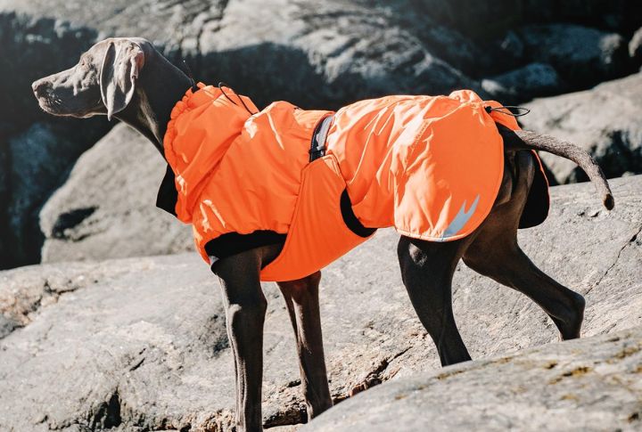 Hurtta Summit Rain Jacket