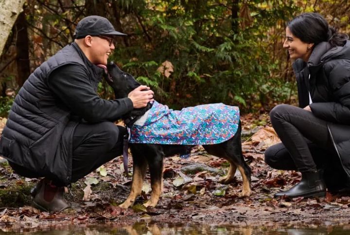 RC Pets Packable Rain Poncho