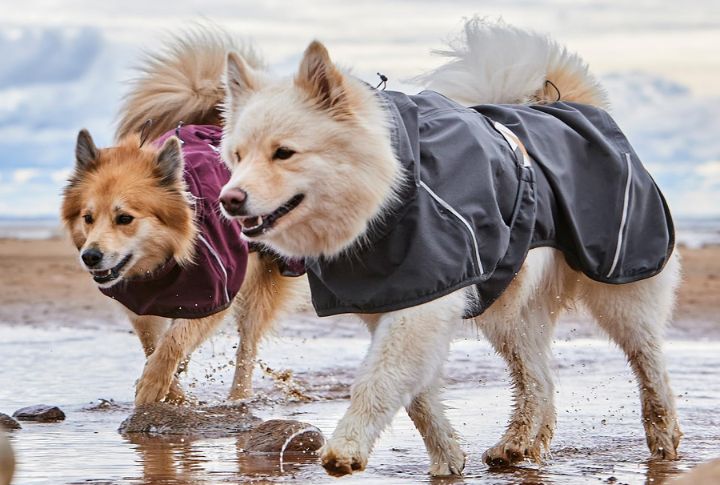 Hurtta Mudventure ECO Raincoat