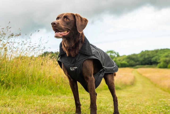 Mountain Dog Weather-Resistant Coats