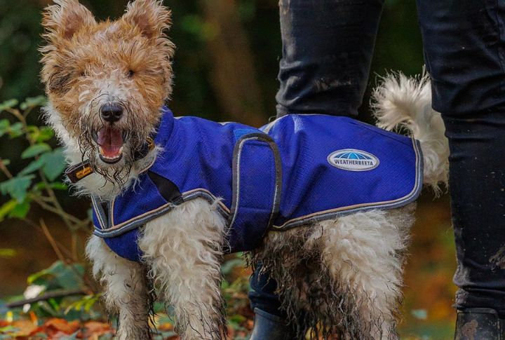 WeatherBeeta ComFiTec Premier Free Parka Deluxe