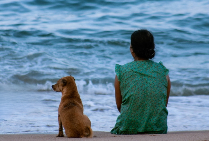 Your Mood Changes Their Behavior