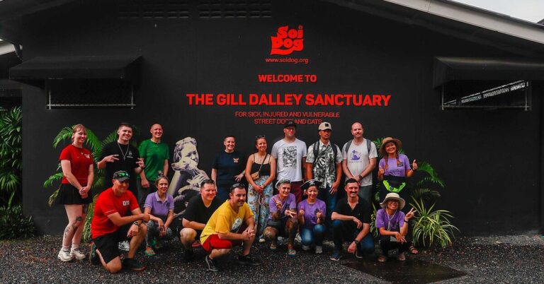 10 Things That Set Soi Dog Foundation Apart