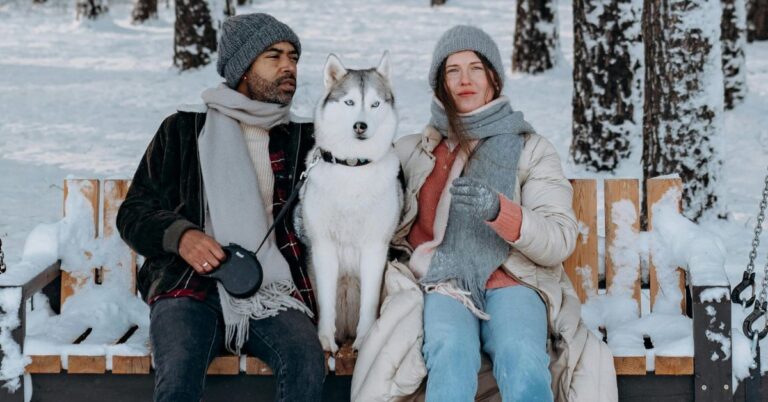 10 Snow-Loving Dogs That Handle The Freeze With Ease