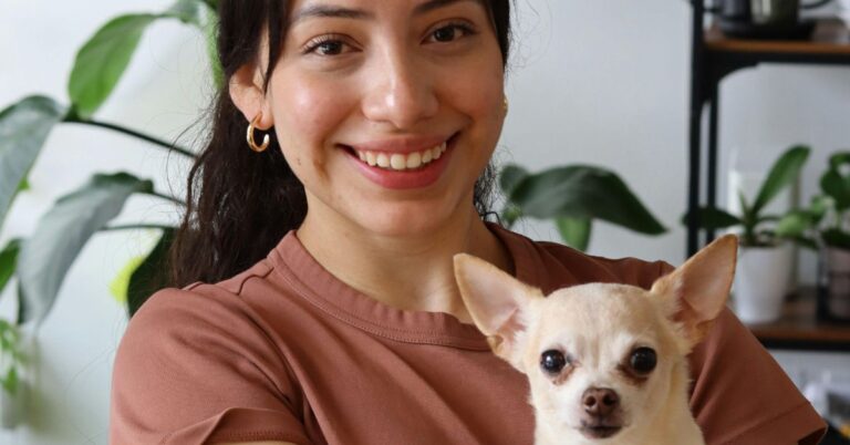 10 Big-Eyed Little Dogs You’ll Love Meeting