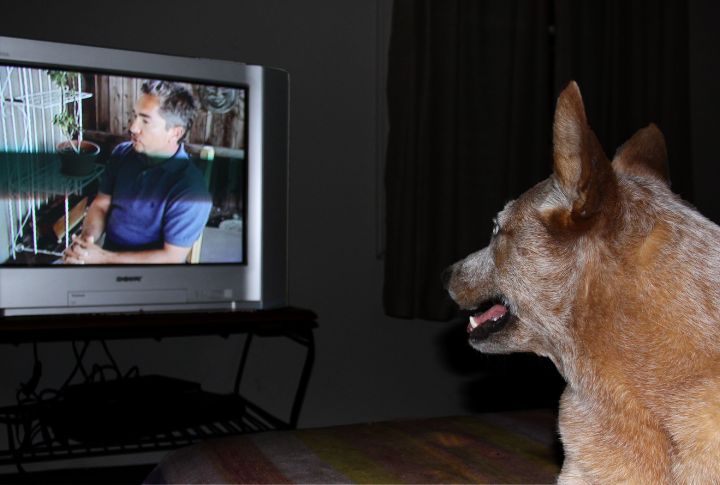 Watching TV Or Listening To Sounds