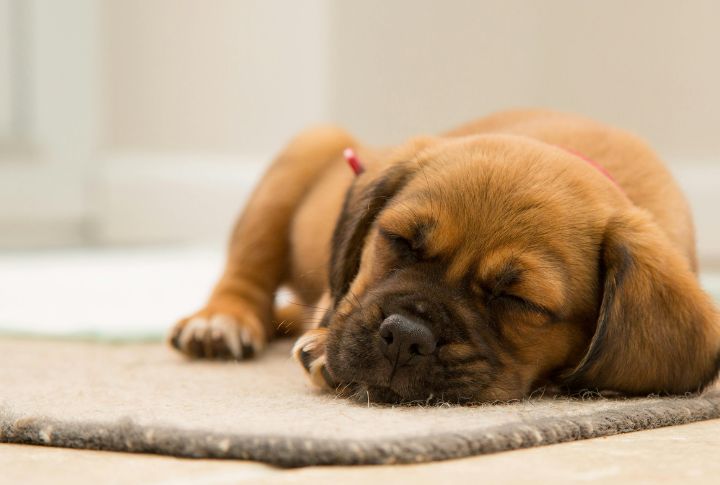 Sleeping