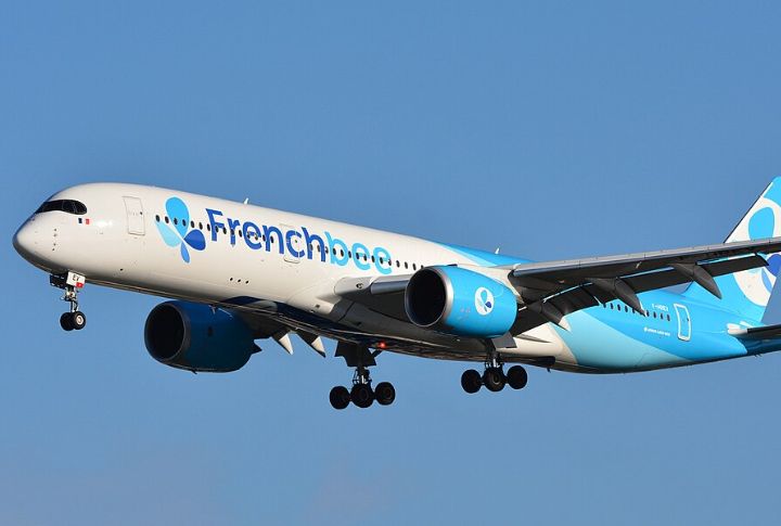 French Bee