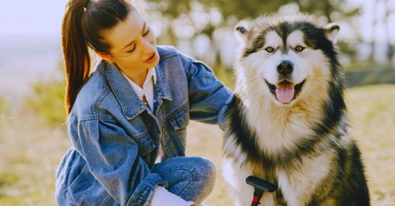 10 Sneaky Spots On Your Dog Where Ticks Love To Hide